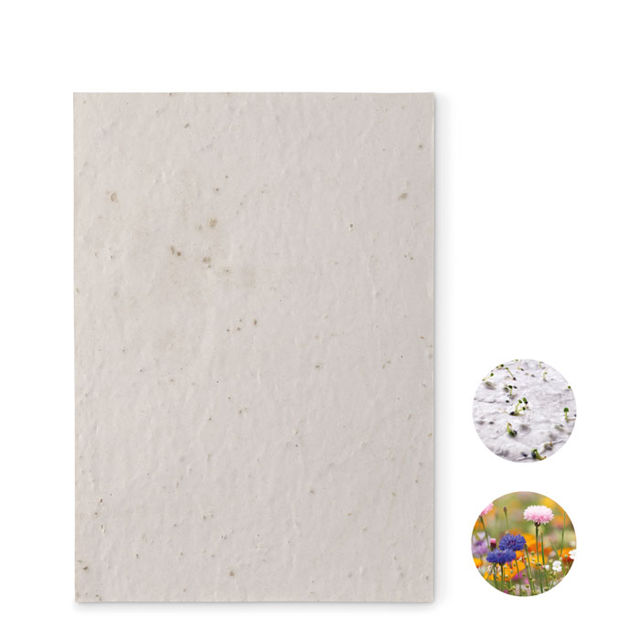 ASIDE - A5 wildflower seed paper sheet