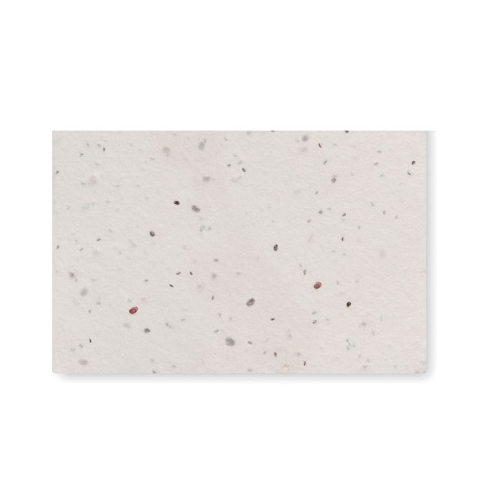 ASIDA - Wildflower seed business card.