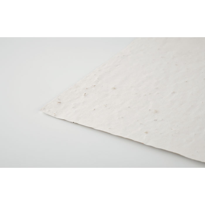 ASIDI - A4 wildflower seed paper sheet