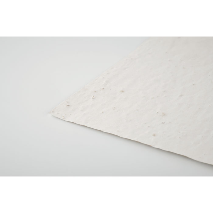 ASIDE - A5 wildflower seed paper sheet