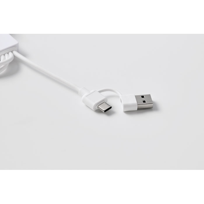 ICAB - 2 in 1 charging cable type-C