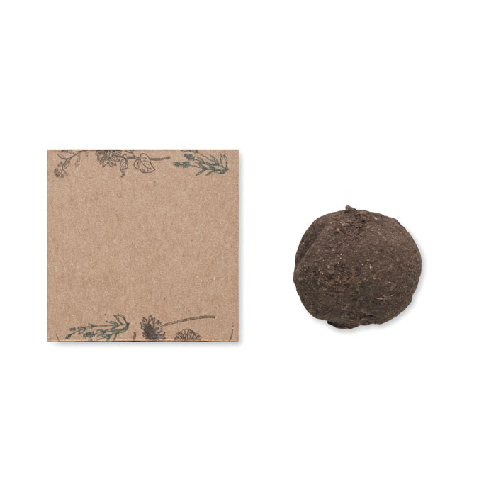 BOMBI - Seed ball growing kit
