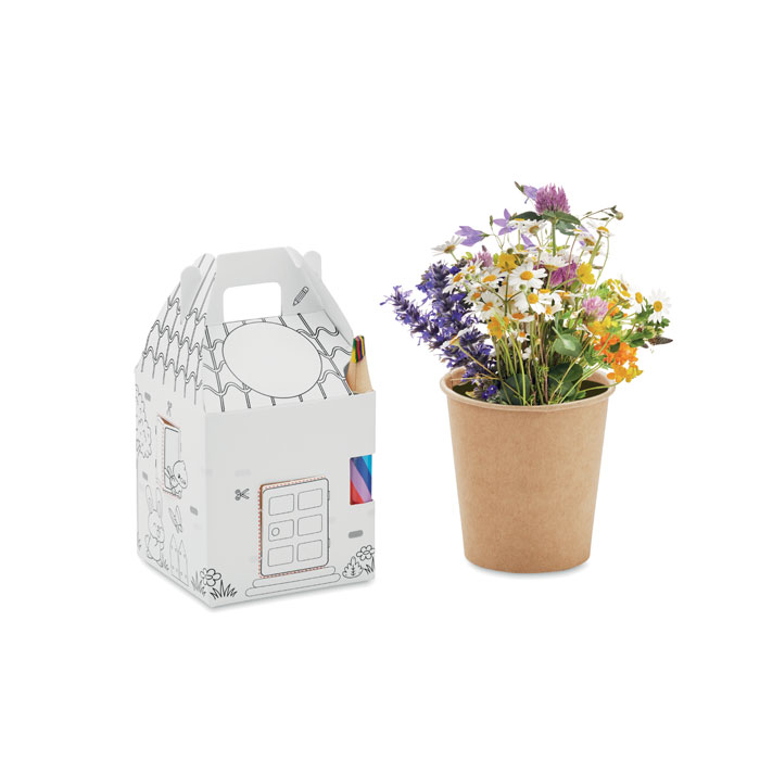 FULLHOUSE - House shaped seeds grow set