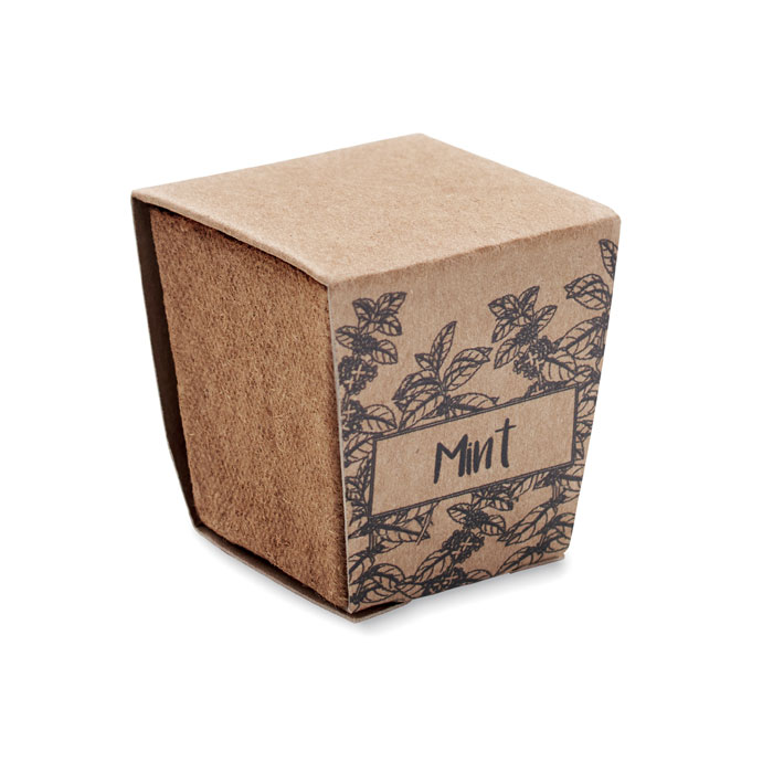 MINT KIT - Mint seeds growing kit