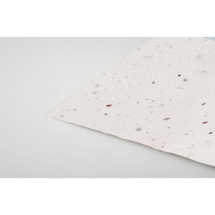 ASIDA - Wildflower seed business card.