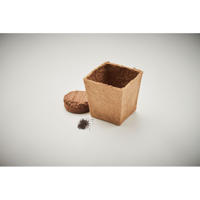 MINT KIT - Mint seeds growing kit