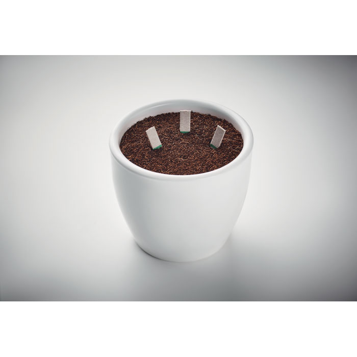 LEYTI - Herb Seedsticks®