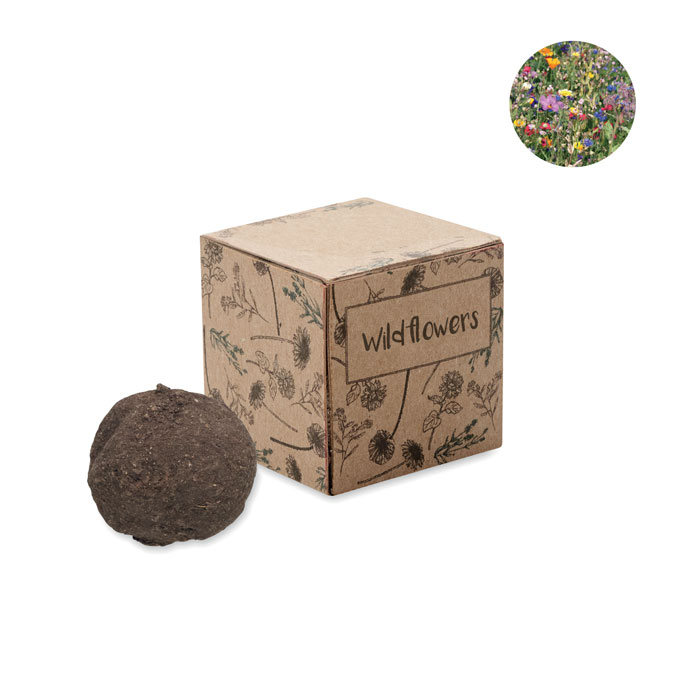 BOMBI - Seed ball growing kit